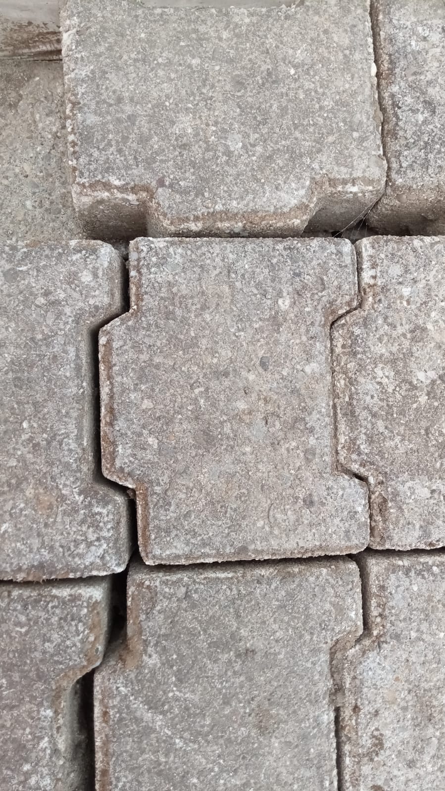 Pavés en béton gris autobloquants en "M" 20 x 15 x 8 cm